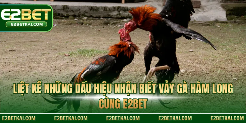 Liệt kê những dấu hiệu nhận biết vảy gà Hàm Long cùng E2BET
