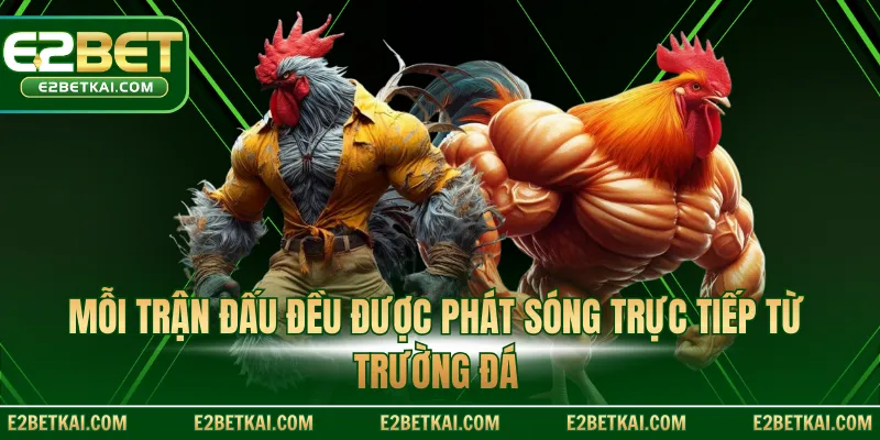Mỗi trận đấu đều được phát sóng trực tiếp từ trường đá