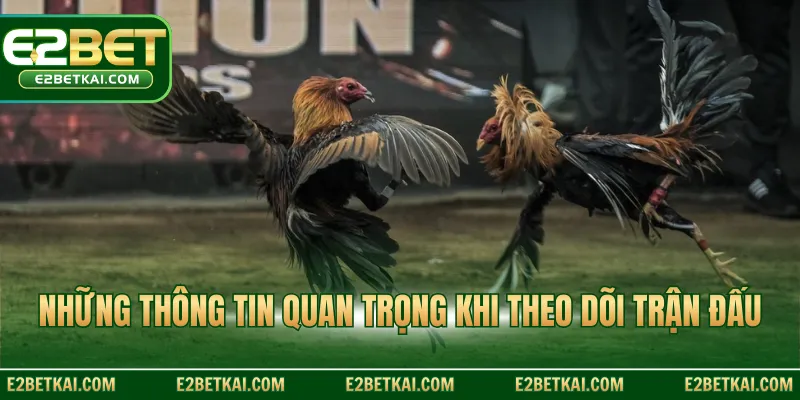 Những thông tin quan trọng khi theo dõi trận đấu