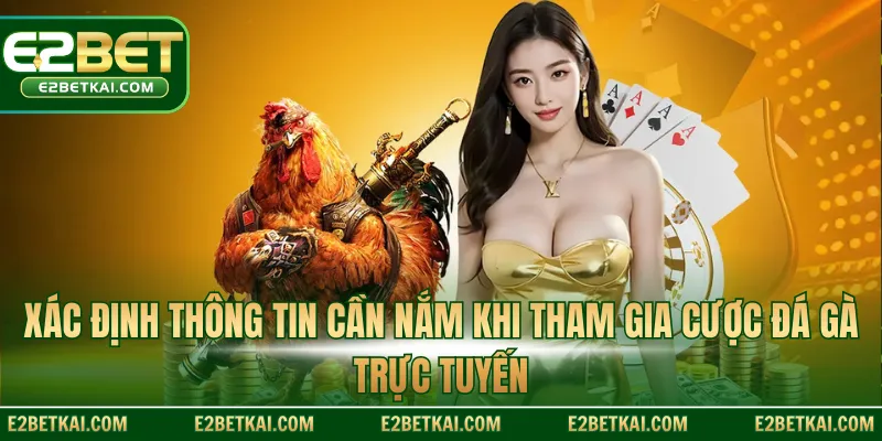 Xác định thông tin cần nắm khi tham gia cược đá gà trực tuyến